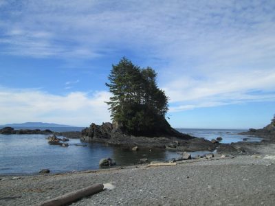 Juan De Fuca Trail. Trekking En Vancouver Island, La Costa Oeste De Canadá.