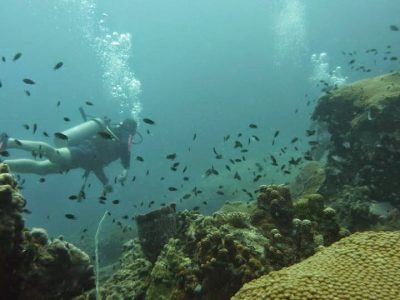 Open Water En Koh Tao