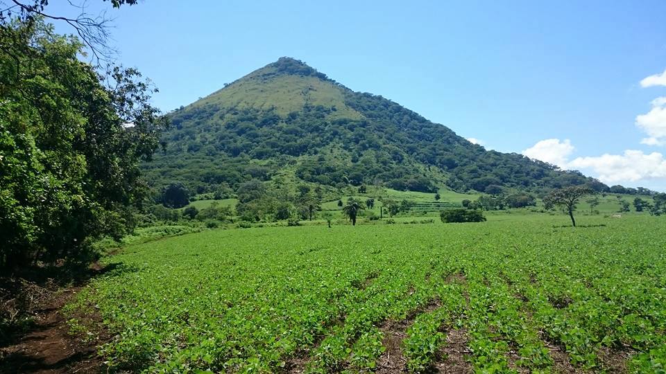 telica4