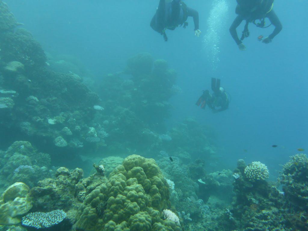 cairns13